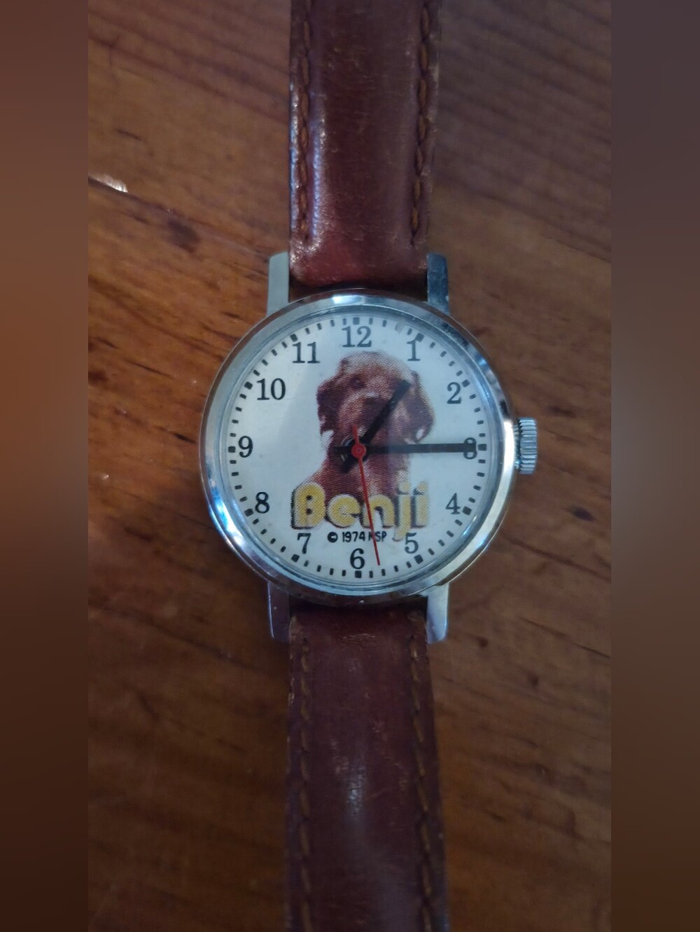 Benji 1976 Watch Wind Up Is Perfect.